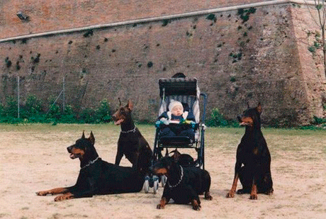 very-important-person